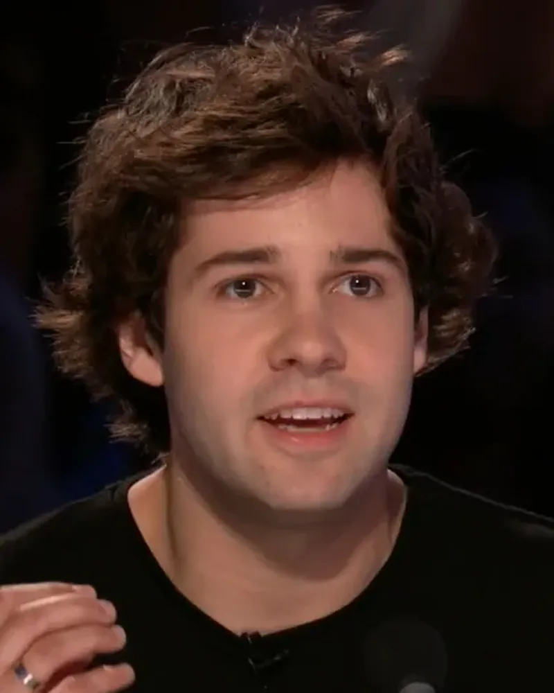 David Dobrik