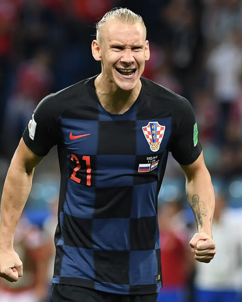 Domagoj Vida