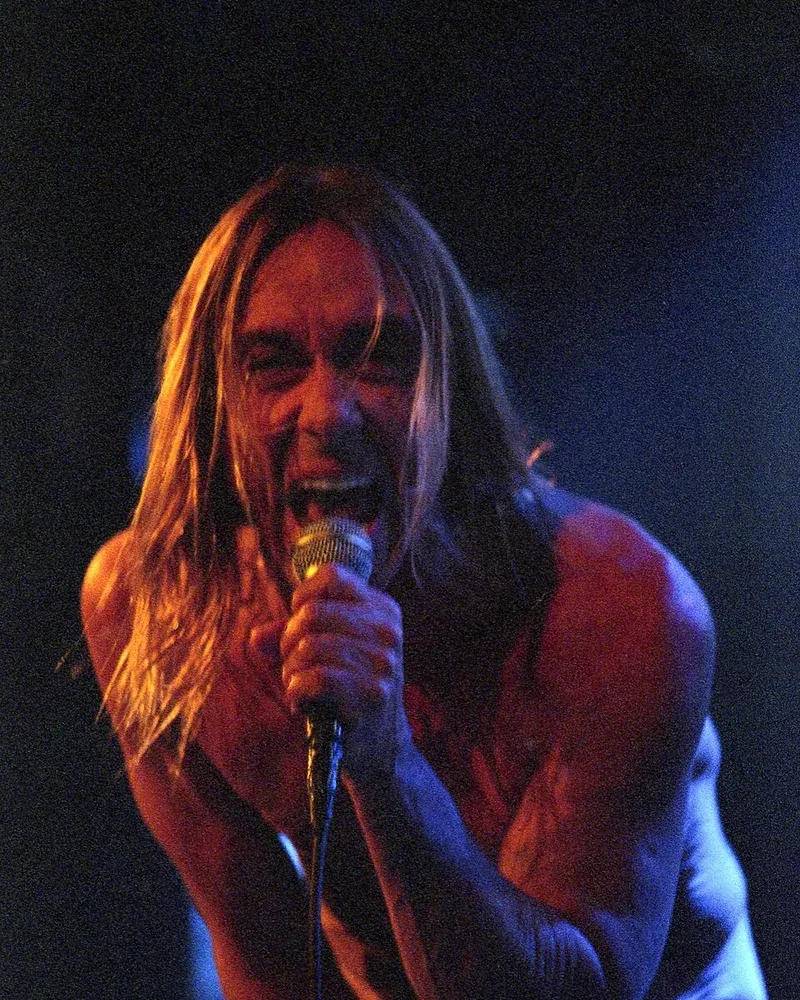 Iggy Pop