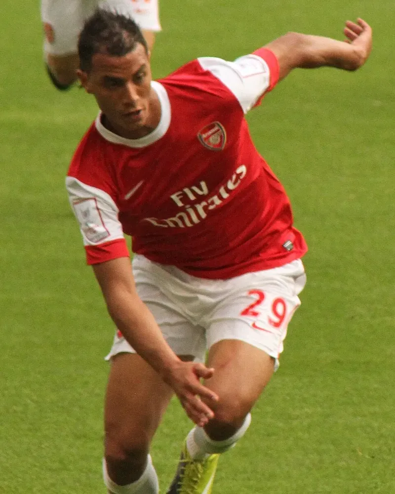 Marouane Chamakh