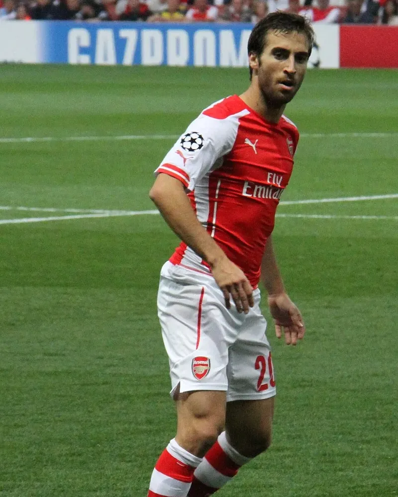 Mathieu Flamini