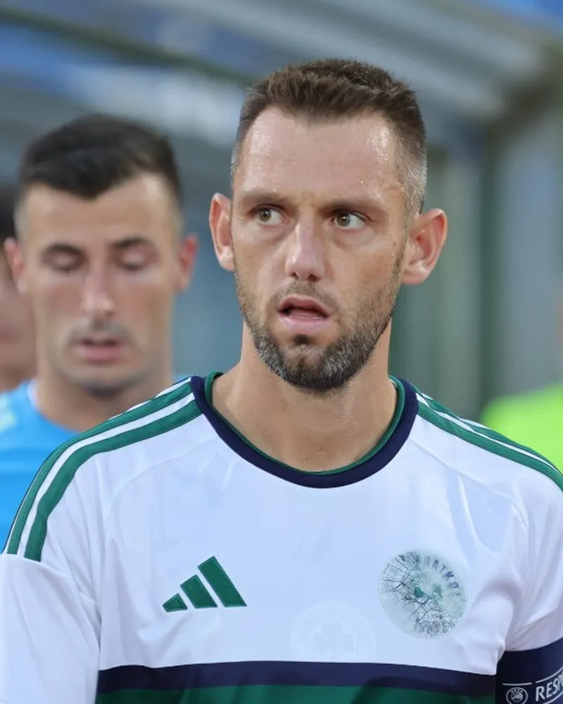 Stefan de Vrij